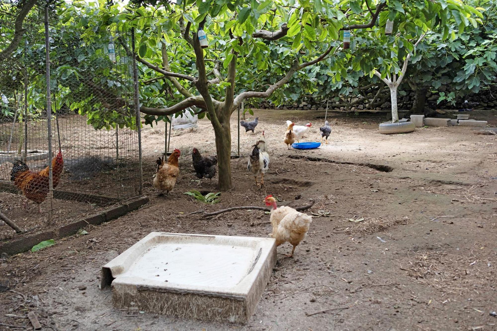 Hébergement de vacances Casa Rosas